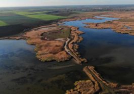 166D6190 0208 4571 8AE7 40E4CE87602A