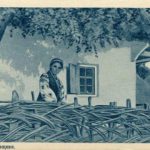 Rare postcards depict Ukrainian village life at turn of 20th century 9 2836 rare postcards depict ukrainian village life at tu 2