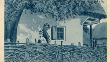 2836 rare postcards depict ukrainian village life at tu 2