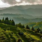 Top reasons to visit Ukraine's Zakarpattia 9 290608
