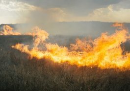 Stunning Photos of Ordinary Life in Ukraine's Conflict Zone 8 2954 stunning photos of ordinary life in ukraines confl 01 donbass 20170328