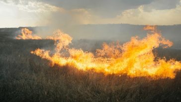 2954 stunning photos of ordinary life in ukraines confl 01 donbass 20170328