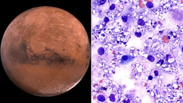 311884100imagea941595693052899