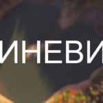Beautiful Synevyr Lake in Ukraine - Earth Day 9 3150 beautiful synevyr lake in ukraine earth day maxresdefault