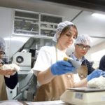 DUTCH ZEELANDIA 2aa6940aef767be08ff219de4ba47c55