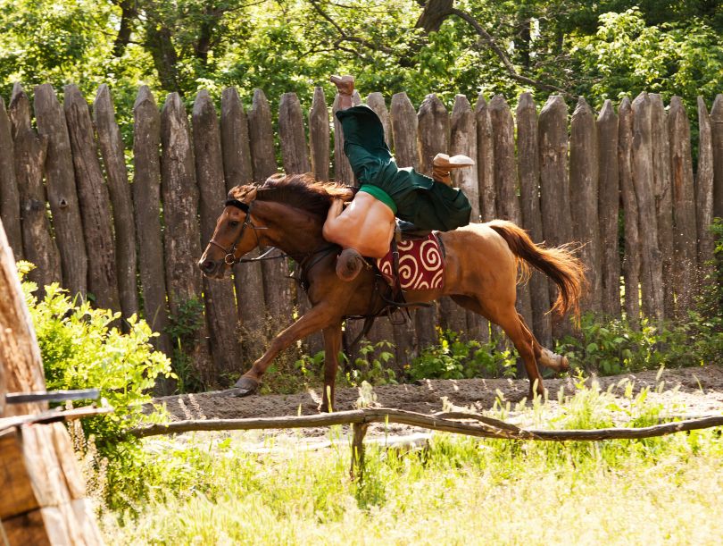 Festival of Equestrian Martial Arts 