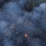 In Chernobyl's radioactive forest, arson and timber smuggling 9 e0cc3f107364431eb8454c4b0d1480d818