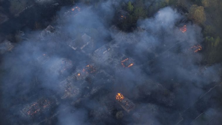 In Chernobyl's radioactive forest, arson and timber smuggling 1 e0cc3f107364431eb8454c4b0d1480d818