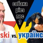 Polish Ukrainian Mutually Intelligible? Languages Comparison 8 maxresdefault 3 2
