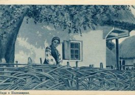 Rare postcards depict Ukrainian village life at turn of 20th century 11 2836 rare postcards depict ukrainian village life at tu 2