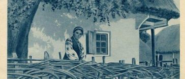 2836 rare postcards depict ukrainian village life at tu 2