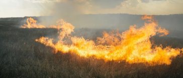 2954 stunning photos of ordinary life in ukraines confl 01 donbass 20170328