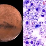 311884100imagea941595693052899