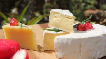 3384 a cheese lovers guide to ukraine cheese 2829034 1920 1024x683 1