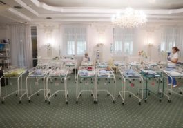 8F38E6E7 02F4 43DC A291 0F662649FCAE