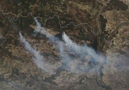 chernobylfiresamo202099lrg scaled 1