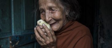 eb3fcf34dee34ba5a3e0e95c2eb1dfe0