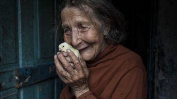 eb3fcf34dee34ba5a3e0e95c2eb1dfe0