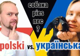 Polish Ukrainian Mutually Intelligible? Languages Comparison 3 maxresdefault 3 2